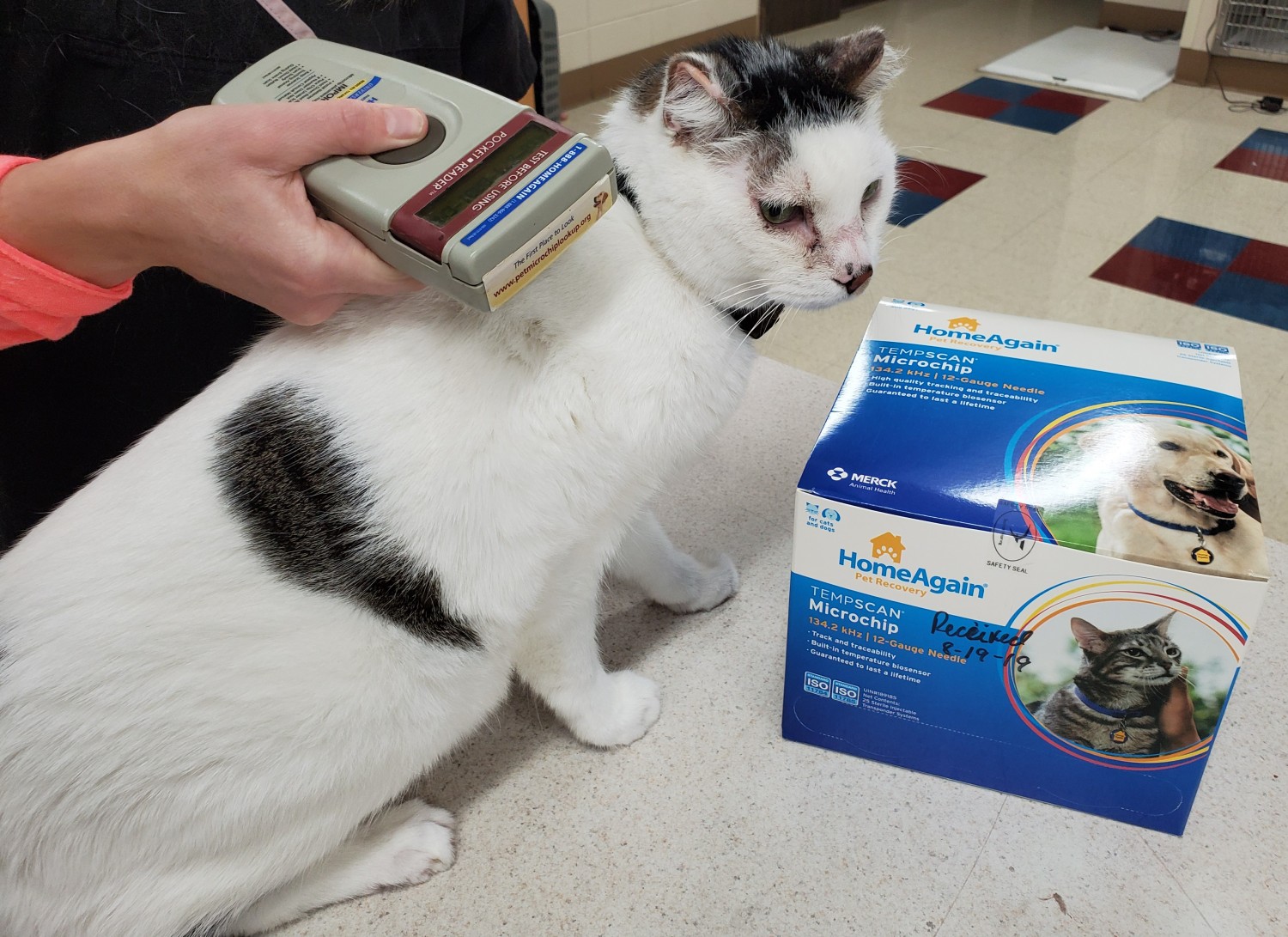 Small Animal Services